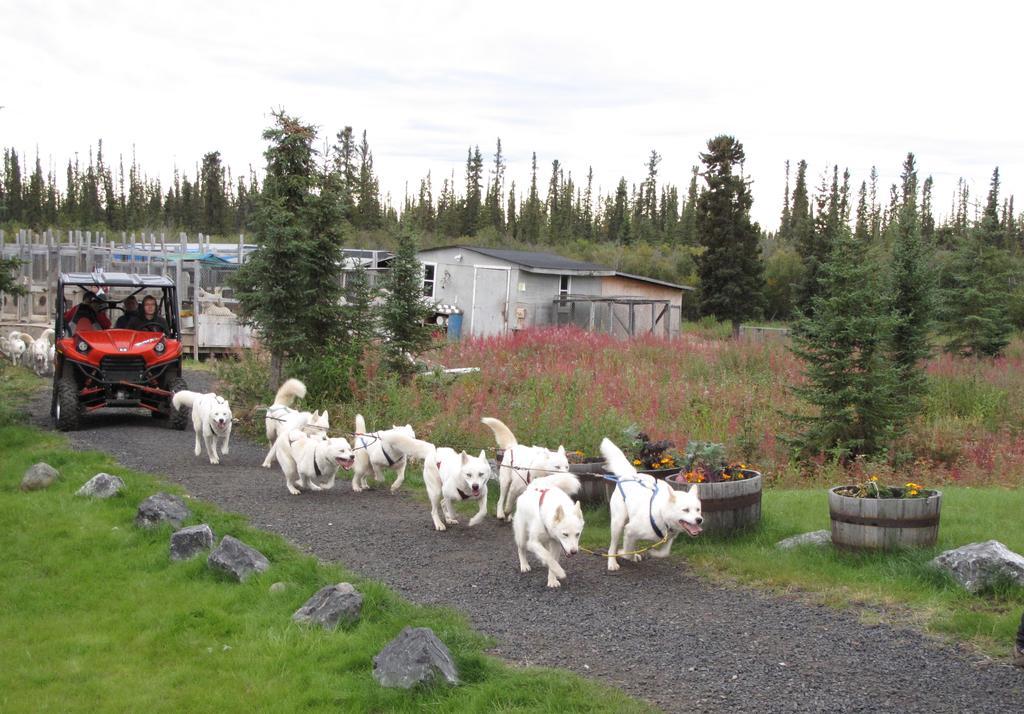 Arctic Chalet Resort Inuvik Extérieur photo